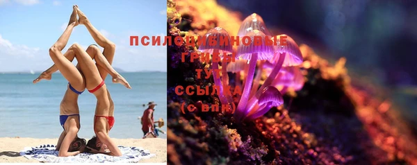 гашик Беломорск