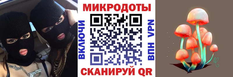 что такое   Кодинск  Галлюциногенные грибы Psilocybe 