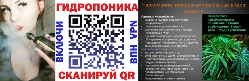 Бошки марихуана гибрид  цены наркотик  Кодинск 